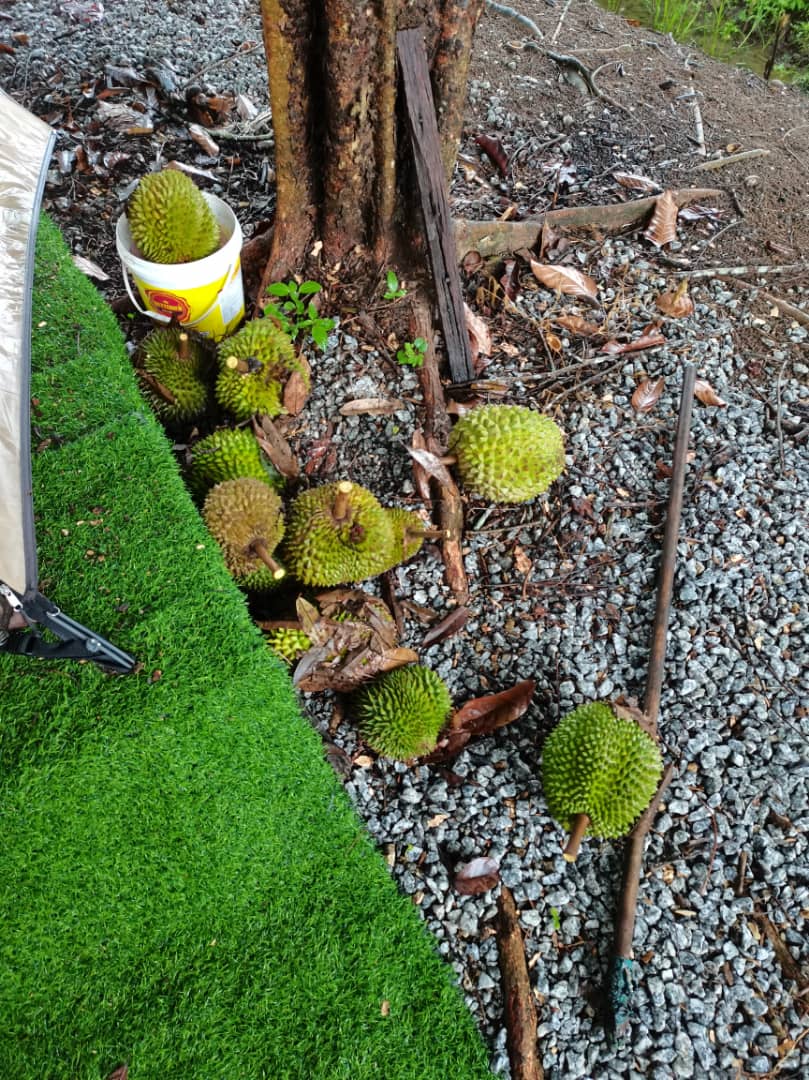 IMG-20230604-WA0002